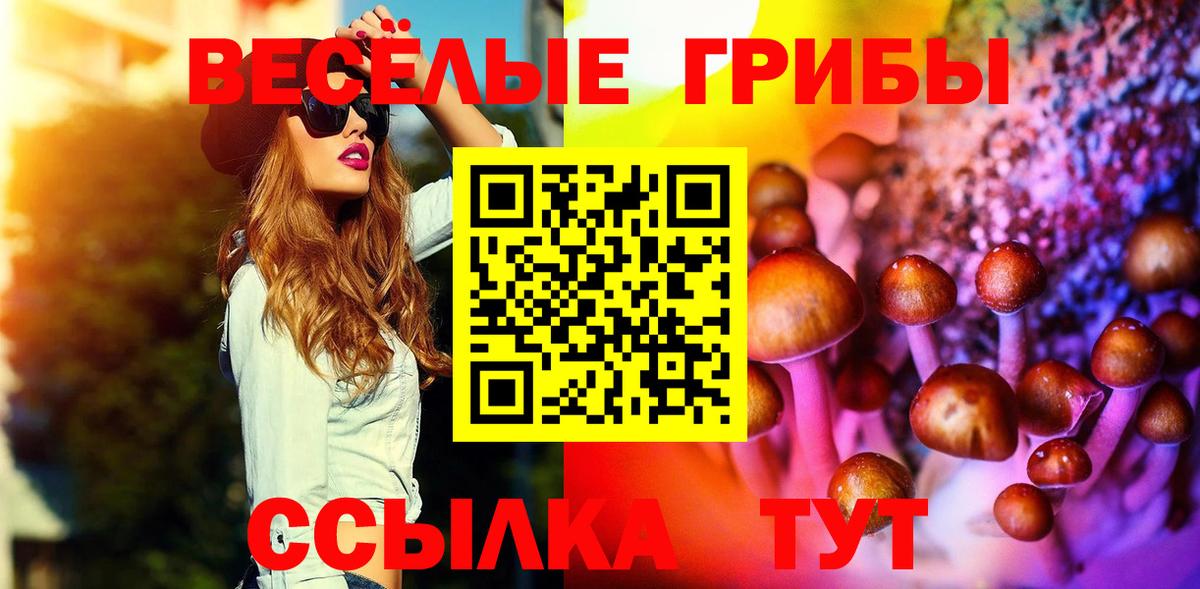 Мытищи  Псилоцибиновые грибы Cubensis  Галлюциногенные грибы Cubensis  Вход с VPN 